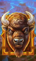Buffalo Gold Canyon
